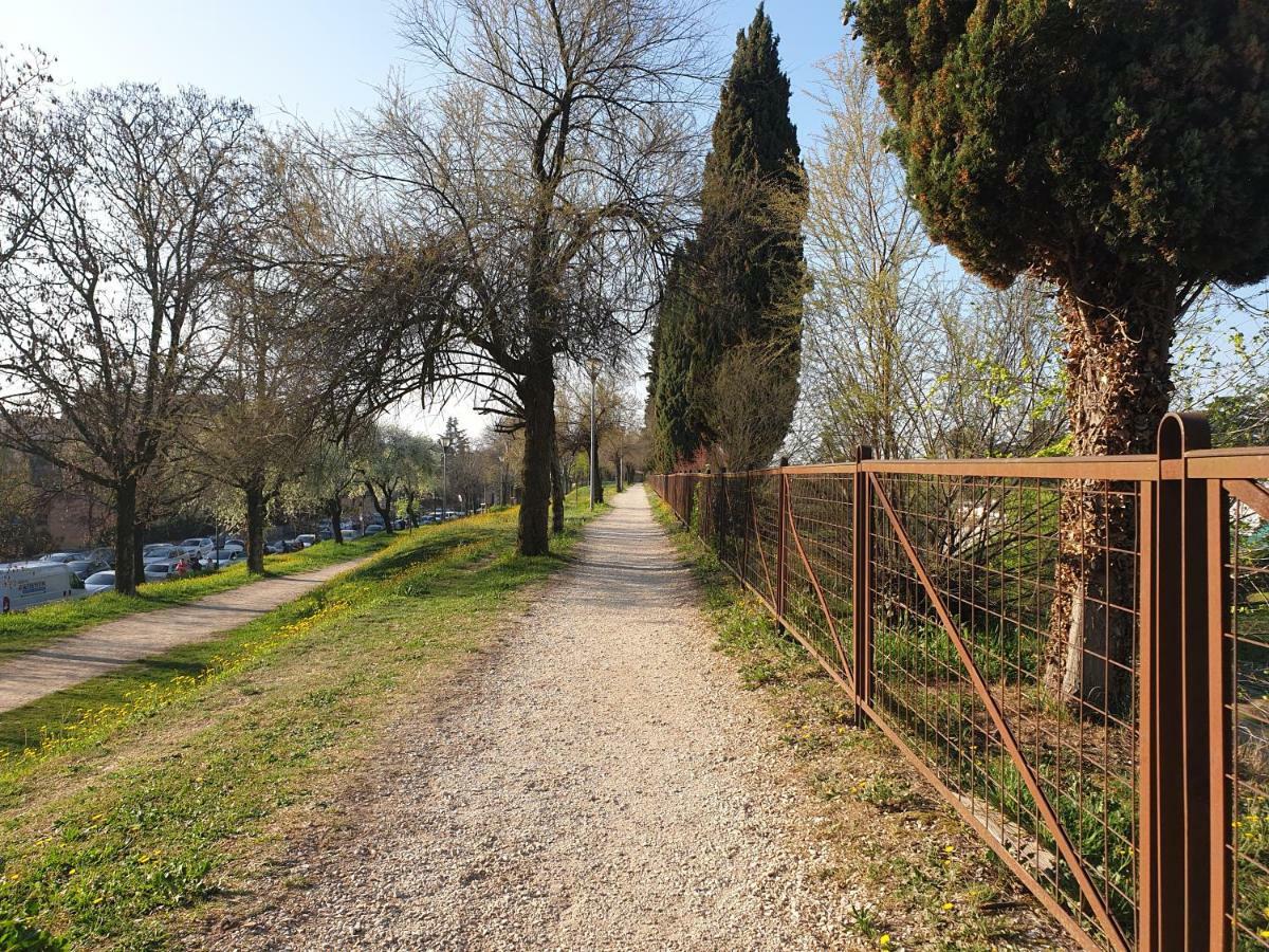 Divina San Zeno Διαμέρισμα Βερόνα Εξωτερικό φωτογραφία