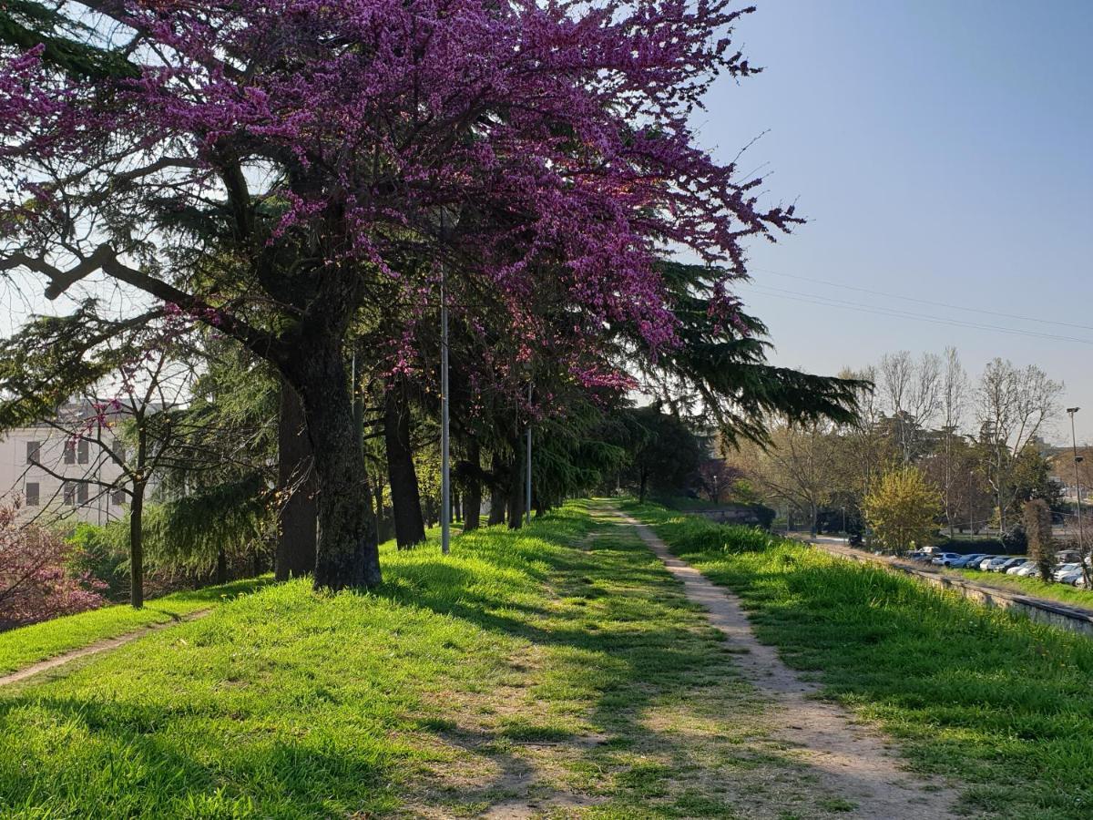 Divina San Zeno Διαμέρισμα Βερόνα Εξωτερικό φωτογραφία